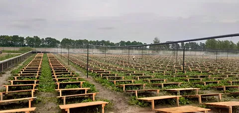 Унікальна ферма равликів у Харківській області